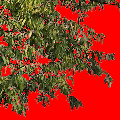 tree39